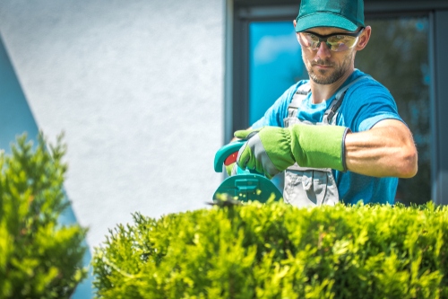 Gardener Dulwich Hill