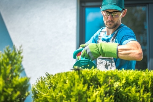 Gardener Rydalmere