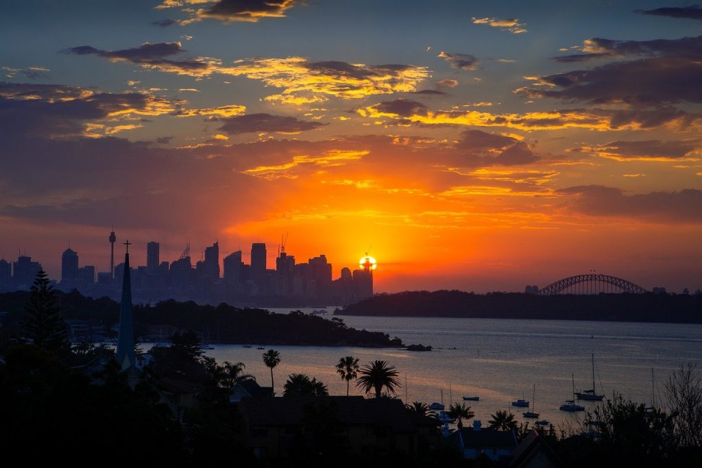 Gardener Strathfield