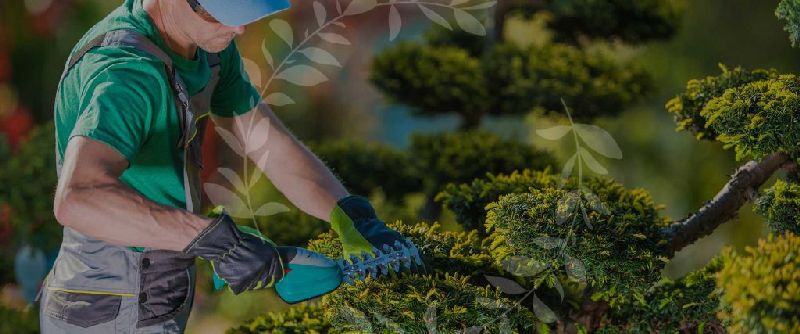 Landscaping Moorebank